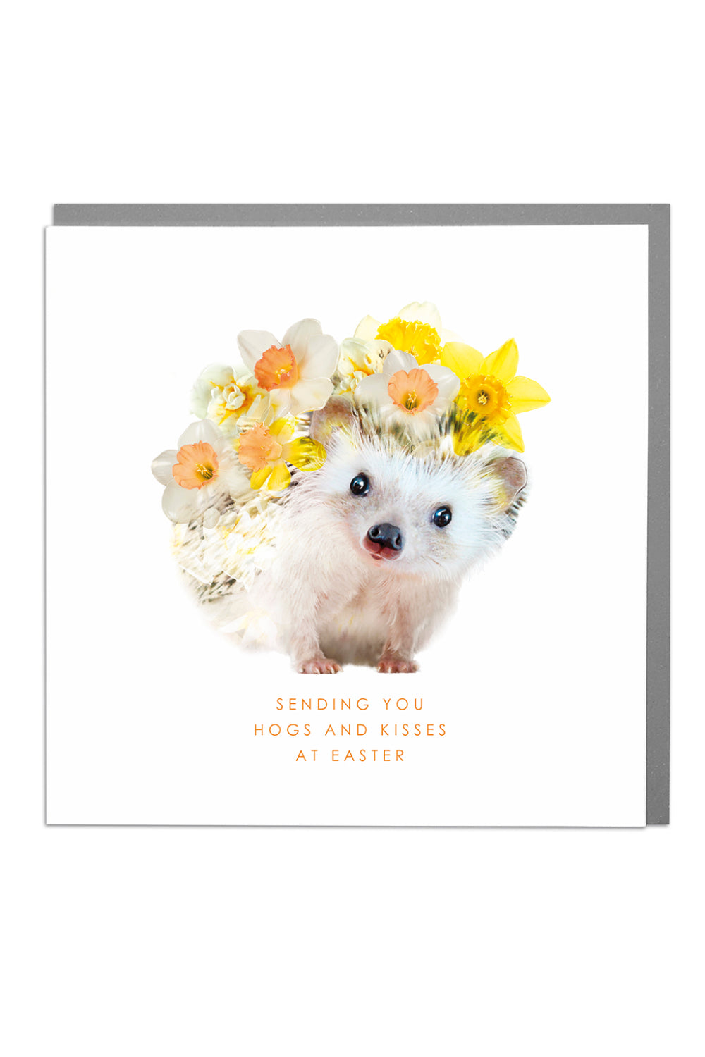 Floral Hedgehog Photographic Easter Card by penny black