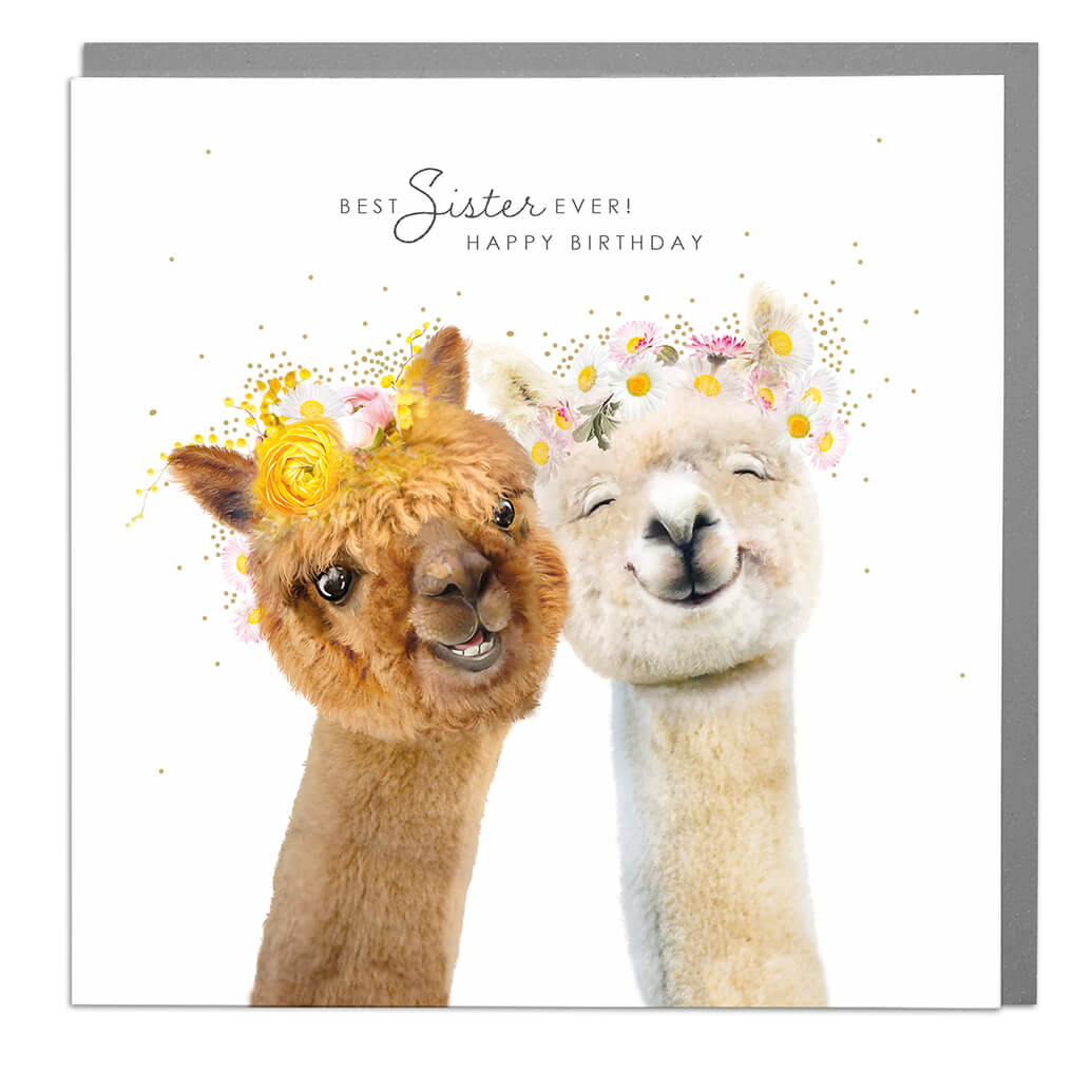 Alpaca Pair Best Sister Birthday Card at Penny Black