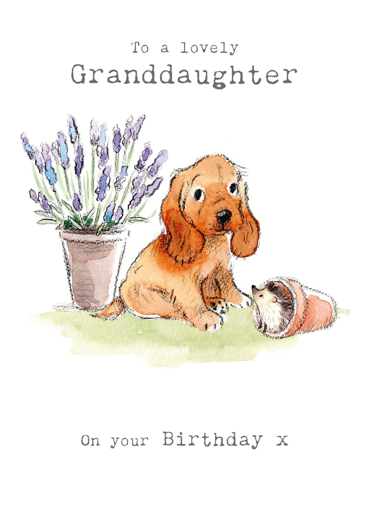 Cocker Spaniel Puppy Granddaughter Birthday Card from Penny Black