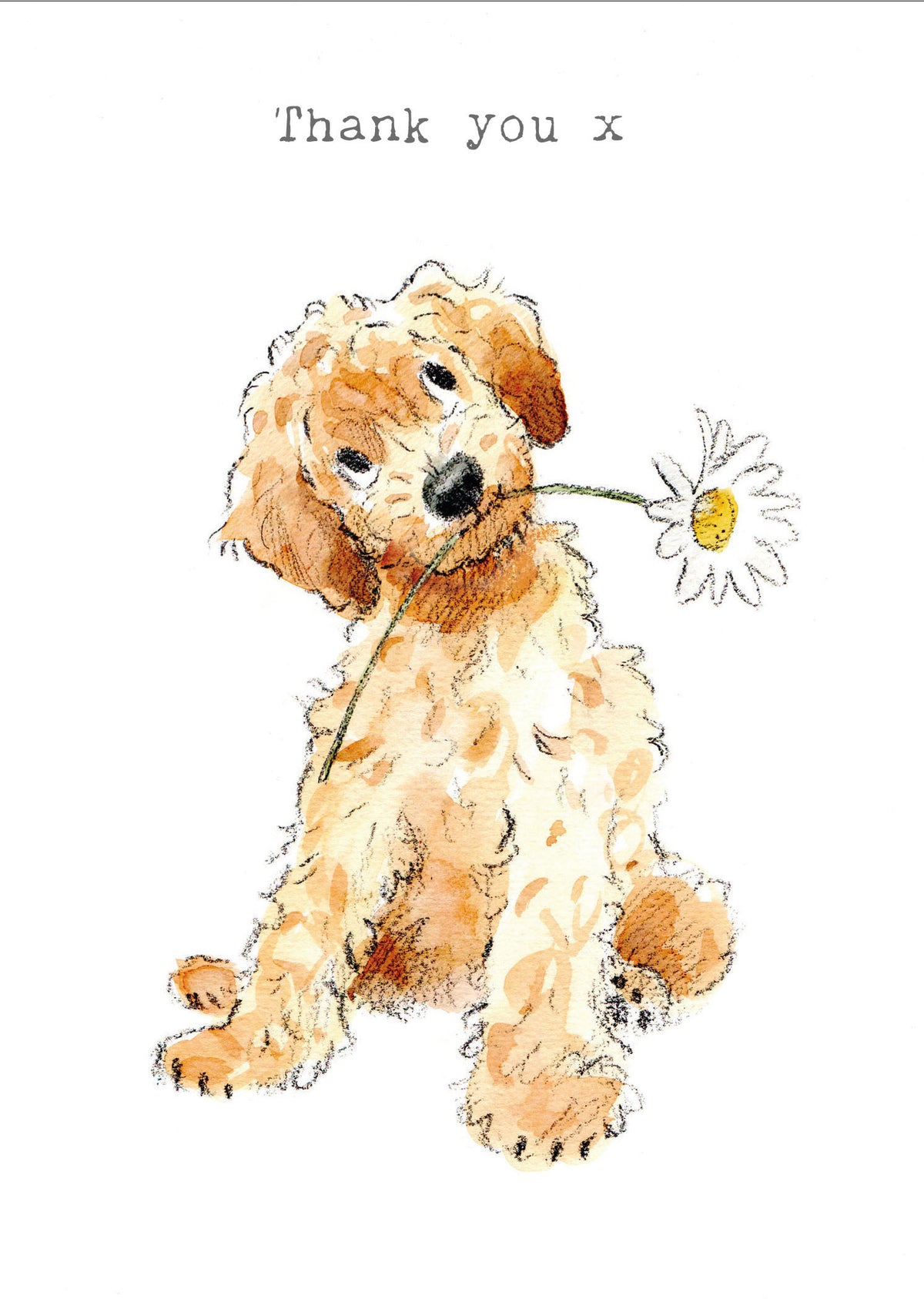 Cockapoo With Daisy Thank You Card from Penny Black