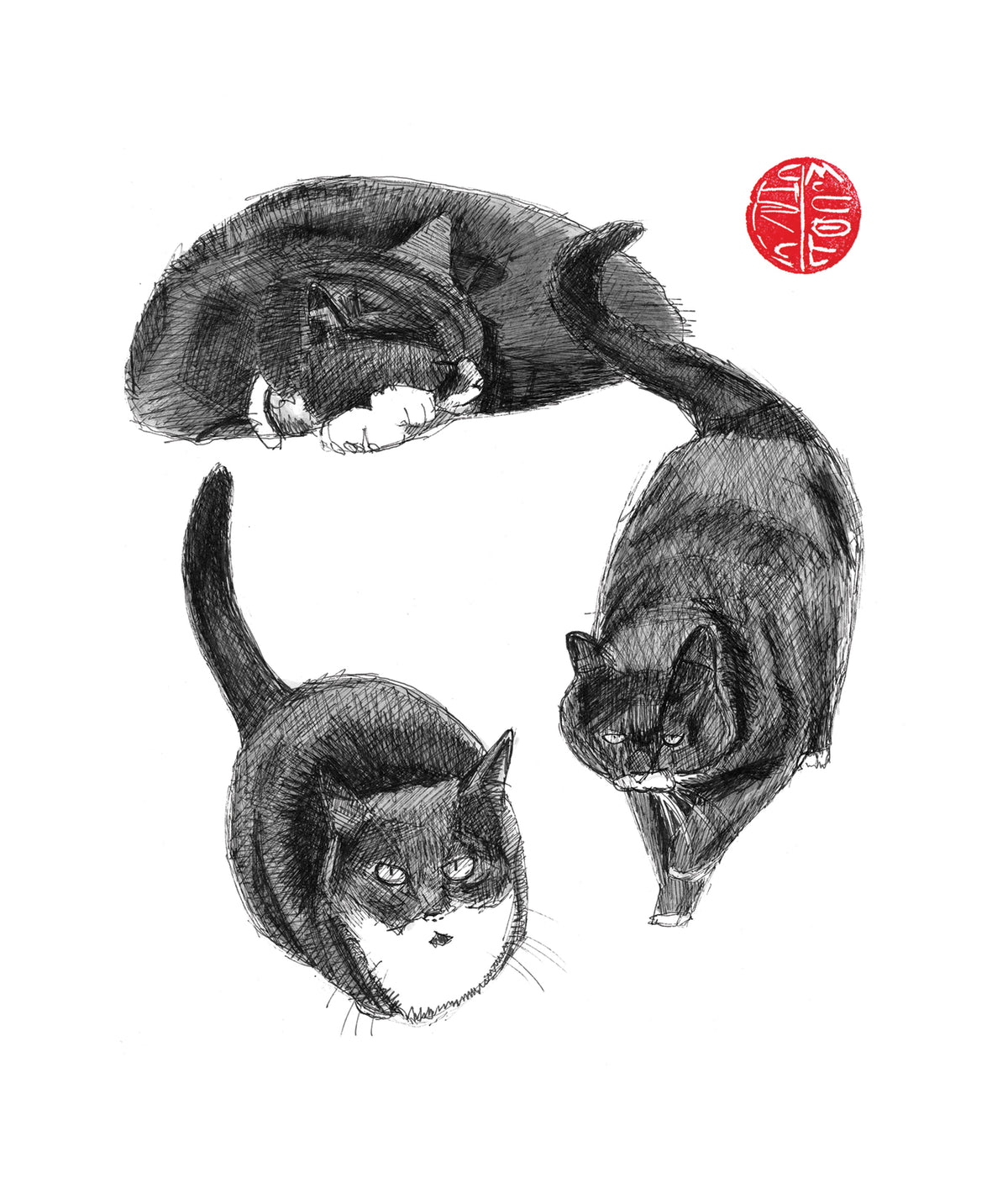 The Cat Circle Illustrated Card from Penny Black