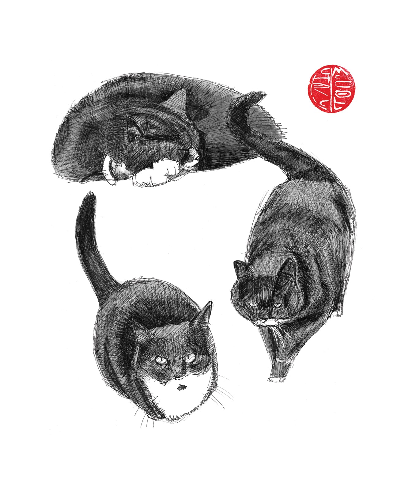 The Cat Circle Illustrated Card from Penny Black