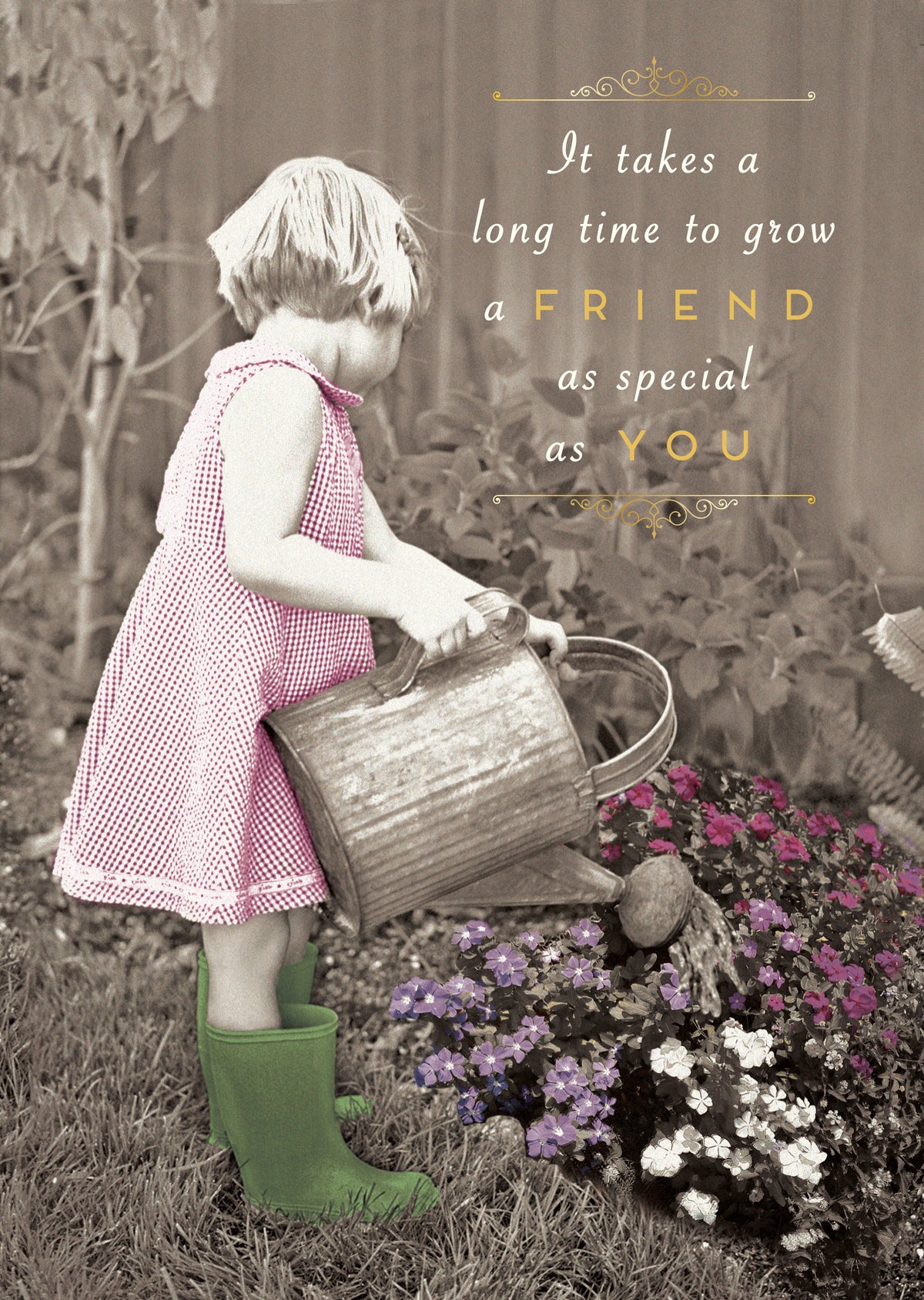 Grow a Special Friend Card from Penny Black