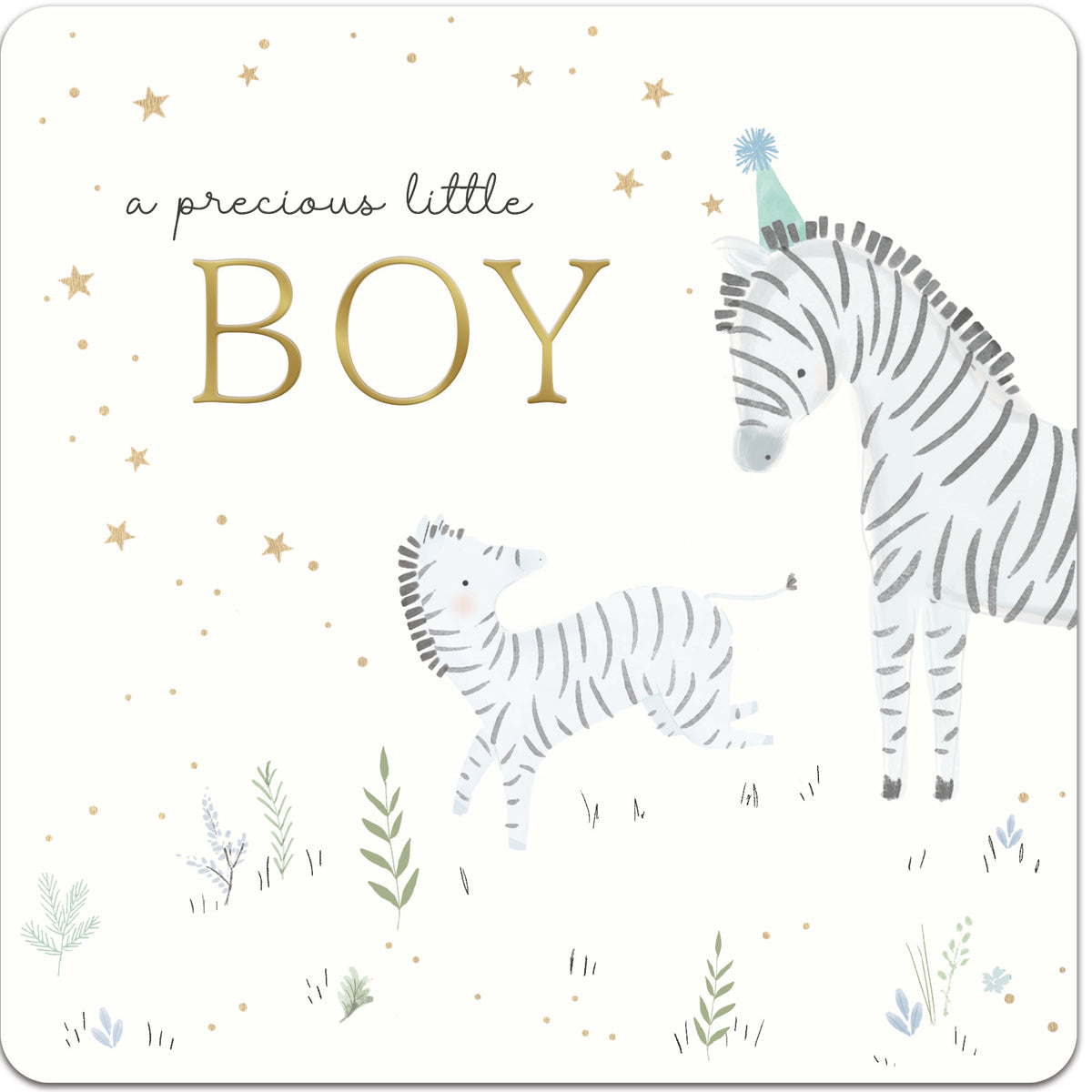 Zebras Precious Little Boy New Baby Card from Penny Black