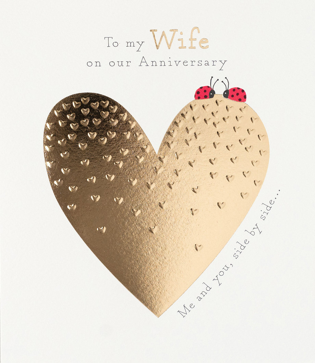 Me & You Side By Side Ladybirds To My Wife Anniversary Card from Penny Black