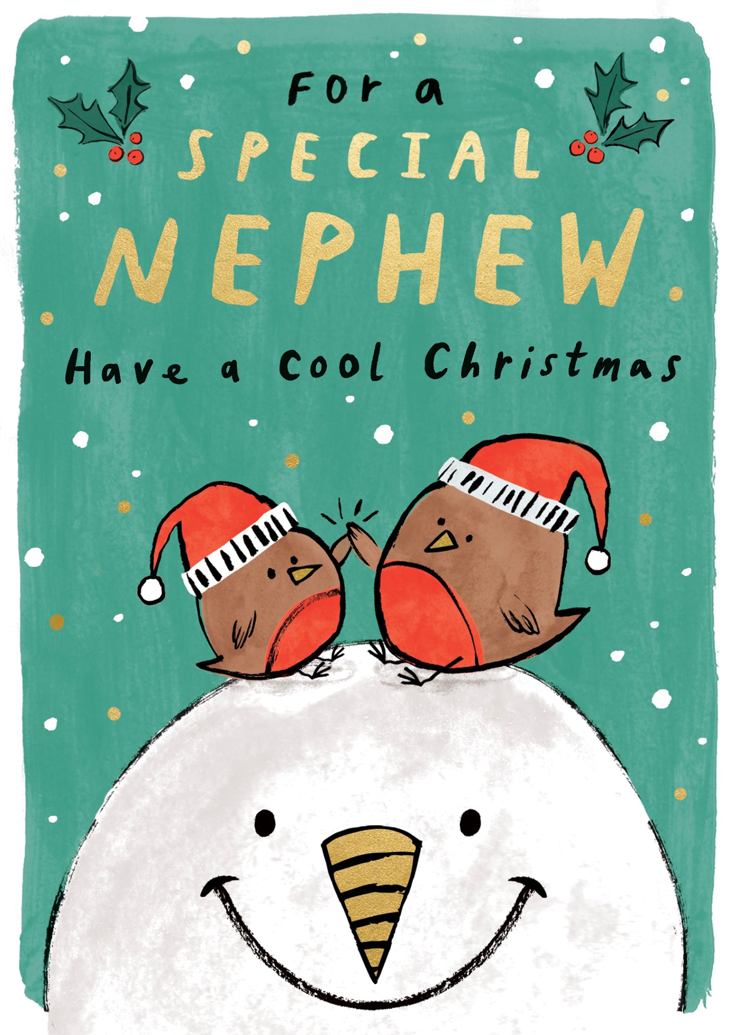 Robins High Five Cool Nephew Christmas Card by penny black