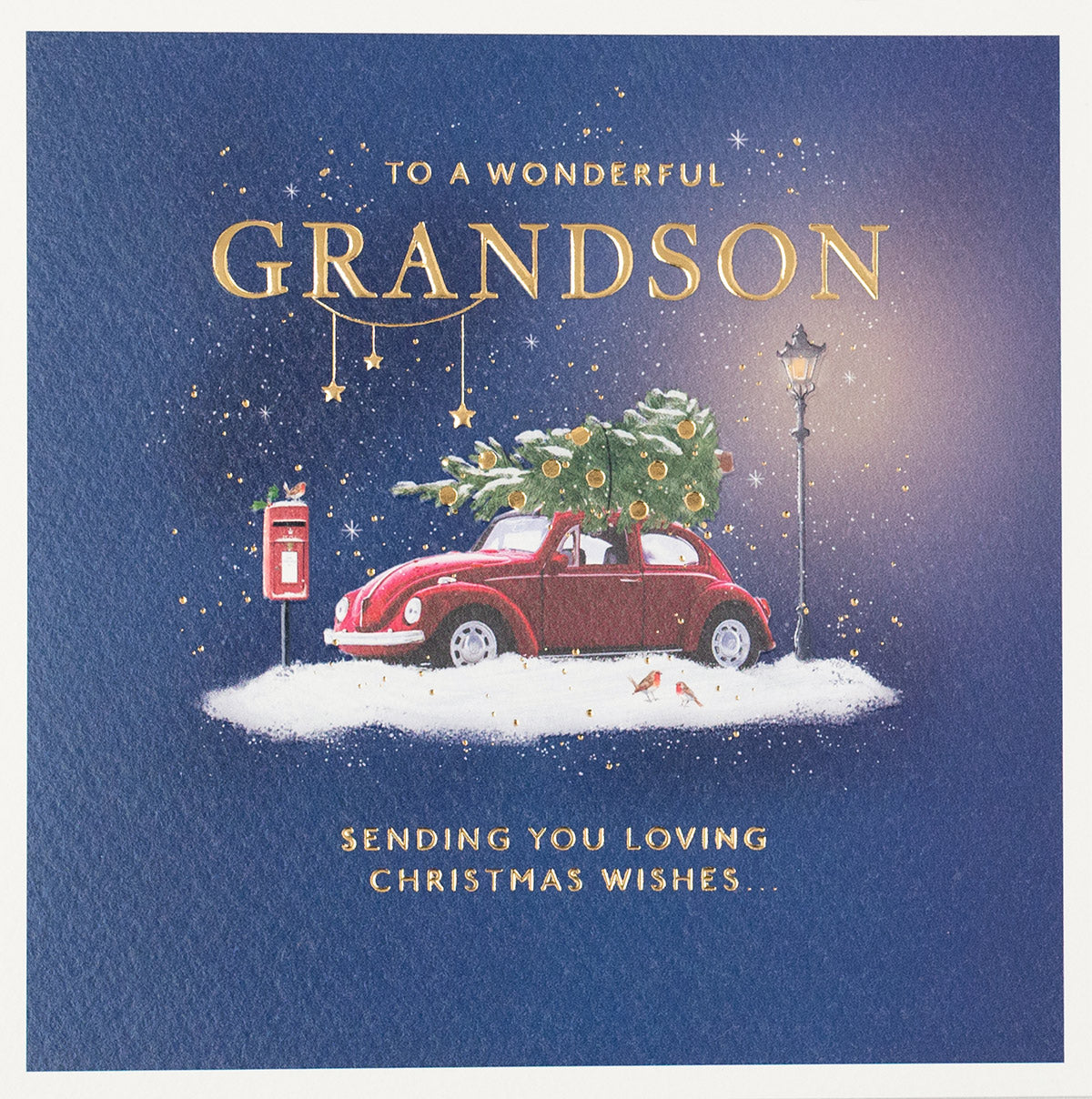 Red Beetle In The Snow Grandson Christmas Card By Penny Black