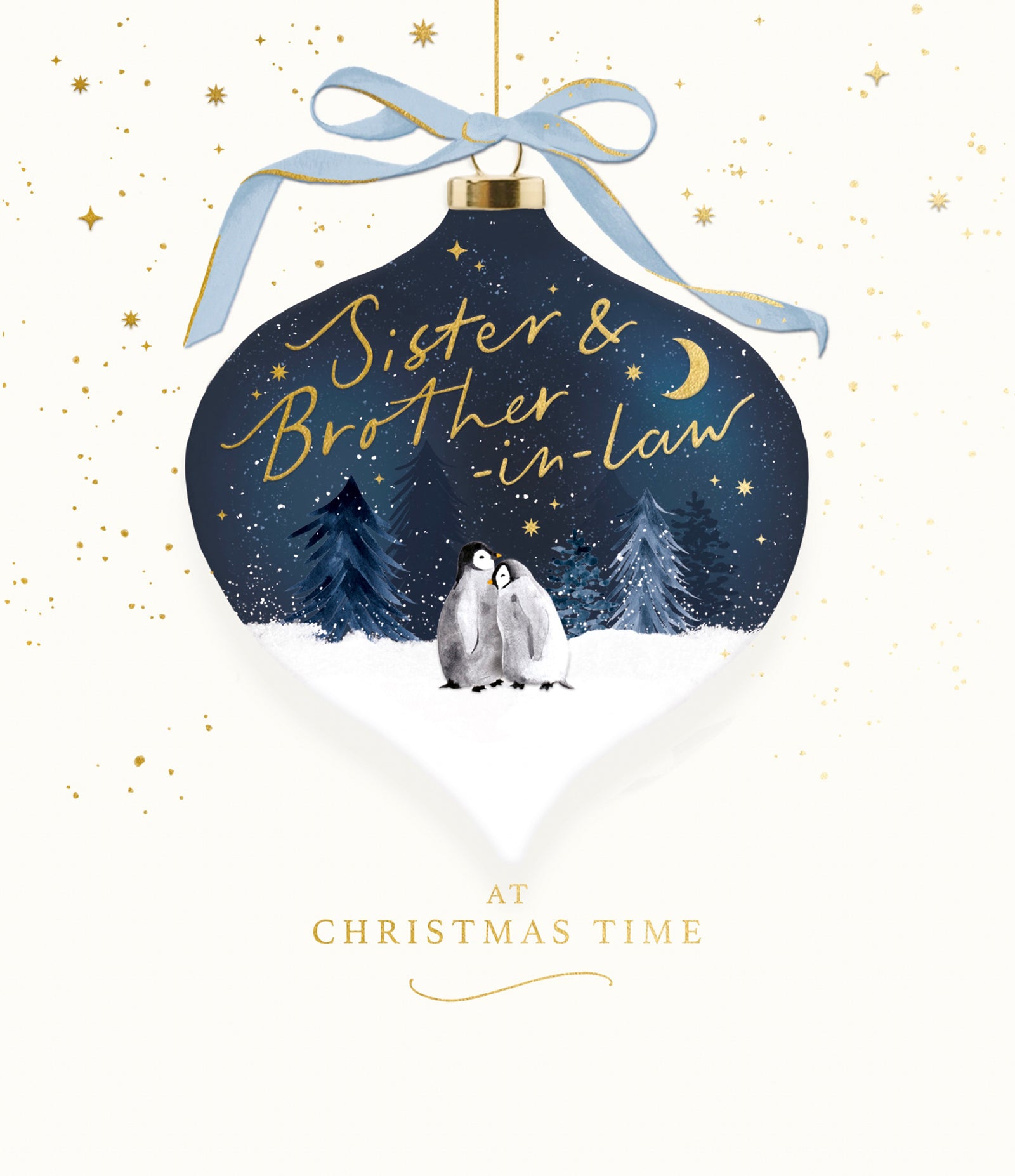 Moonlit Penguins Sister & Brother In Law Christmas Card by penny black