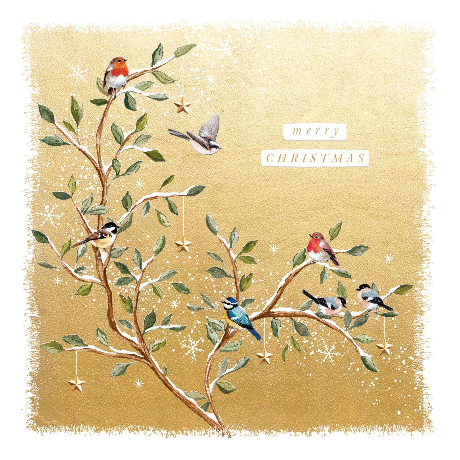 Winter Birds On Branch Merry Christmas Card by penny black