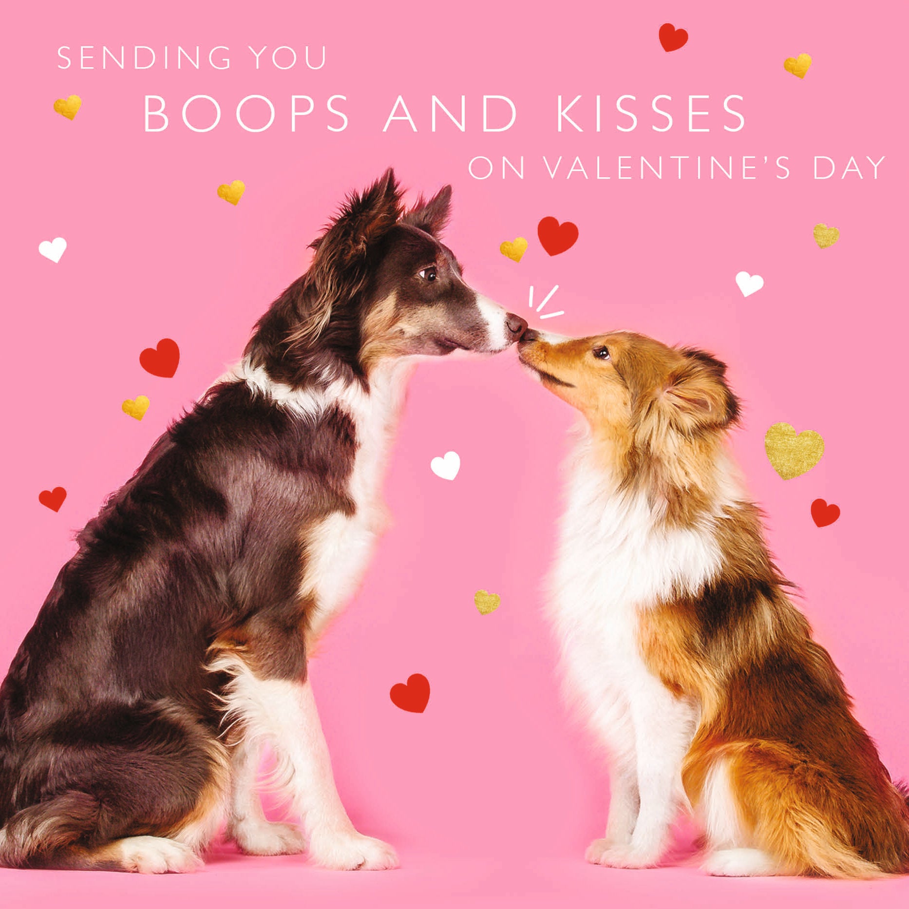 Boops and Kisses Valentine Card by penny black