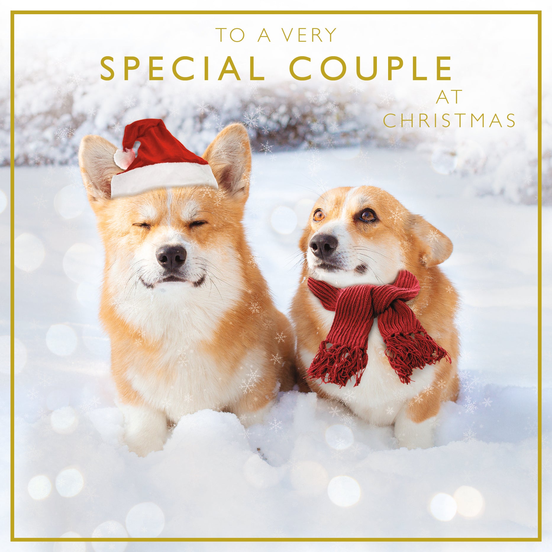 Special Couple Snowy Corgis Christmas Card by Penny Black