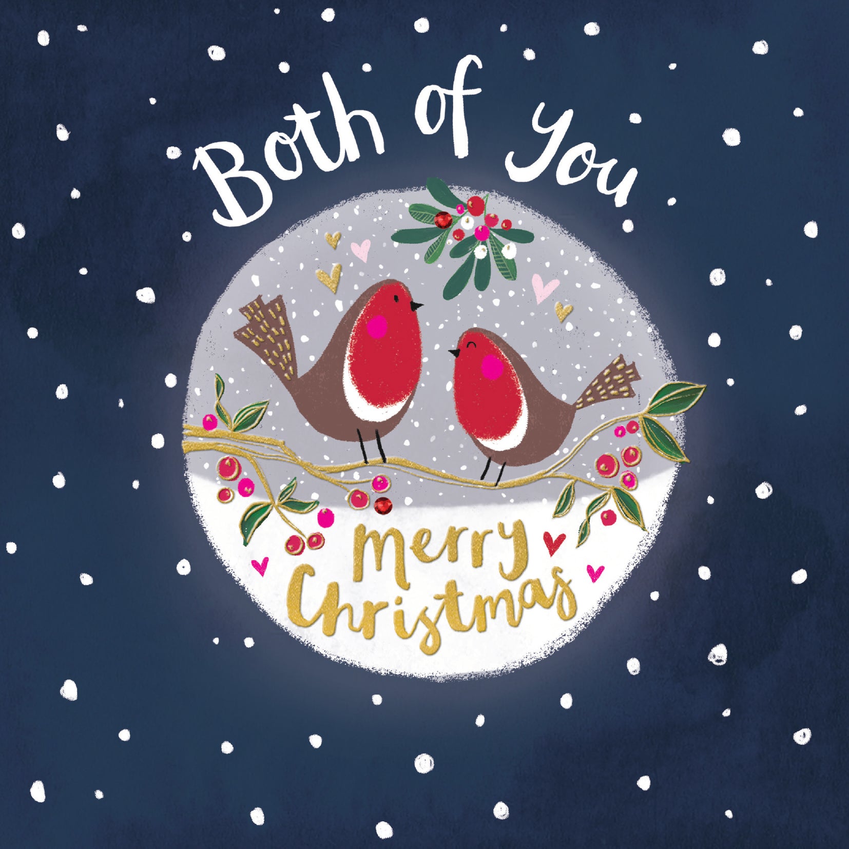 Both Of You Nighttime Robins Aperture Christmas Card by Penny Black