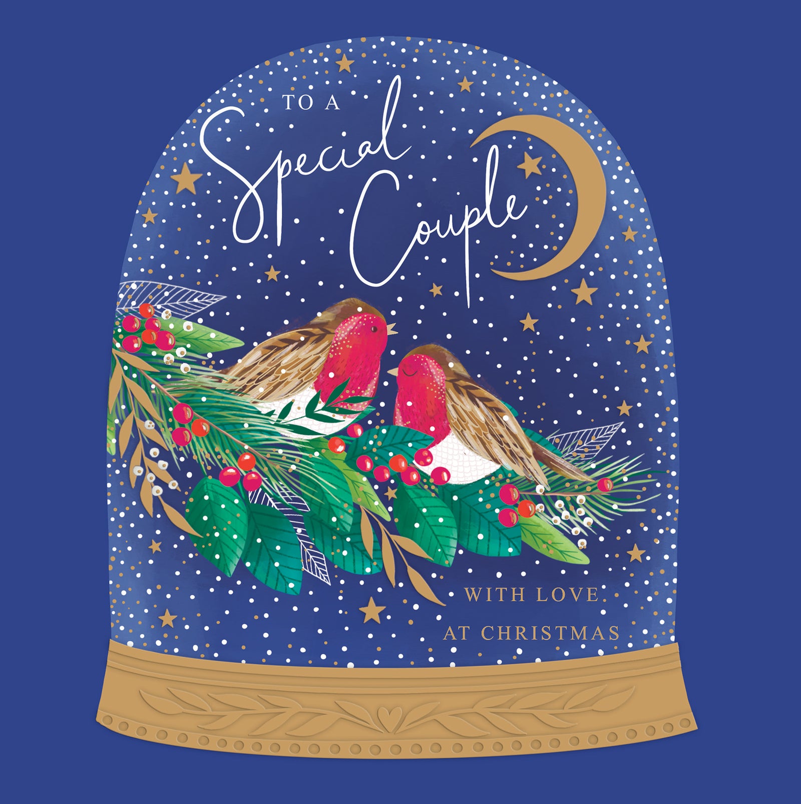 Robins Snow Globe Special Couple Christmas Card by penny black