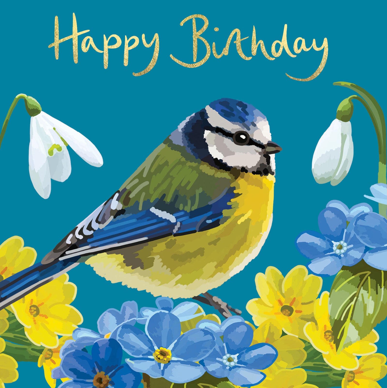 Blue Tit British Birds Birthday Card from Penny Black