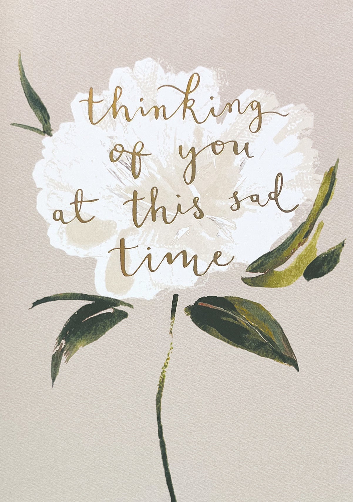 Thinking Of You At This Sad Time White Flower Card at Penny Black