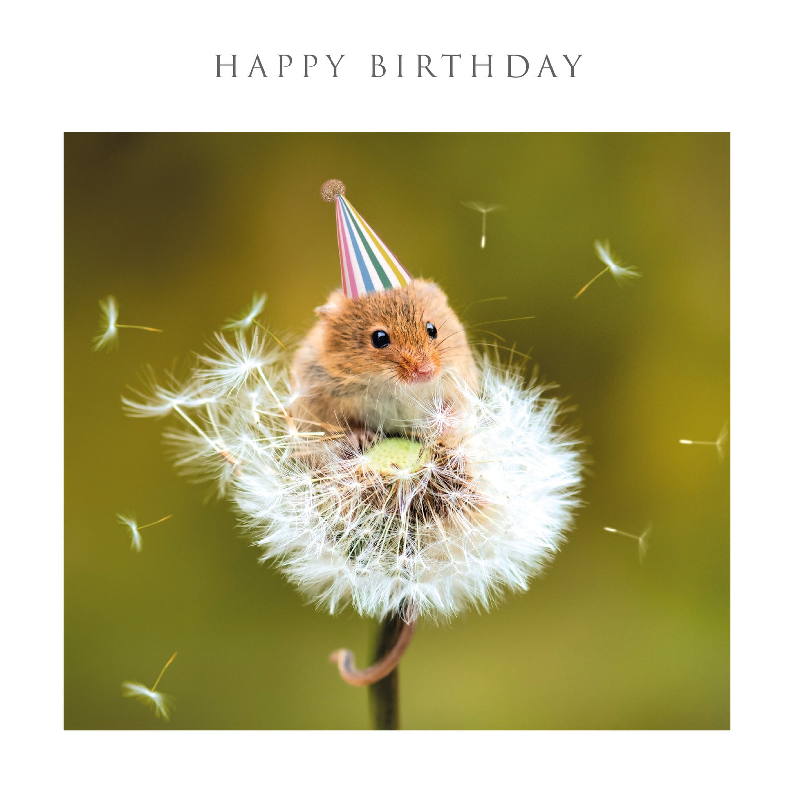 Mouse In A Party Hat Birthday Card at Penny Black