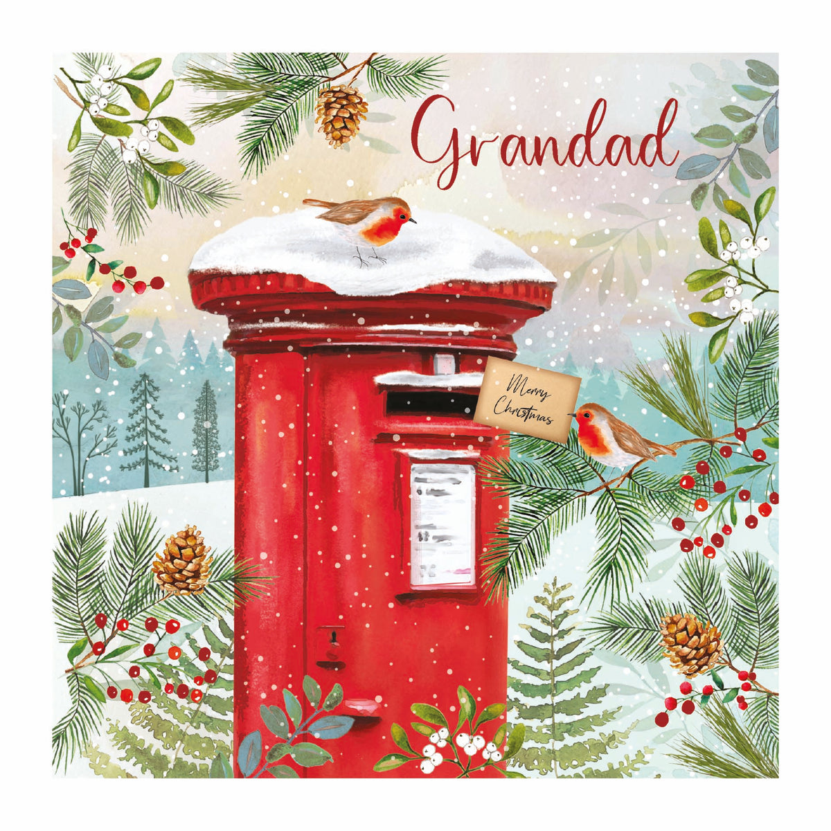 Robins Postbox Grandad Christmas Card By Penny Black