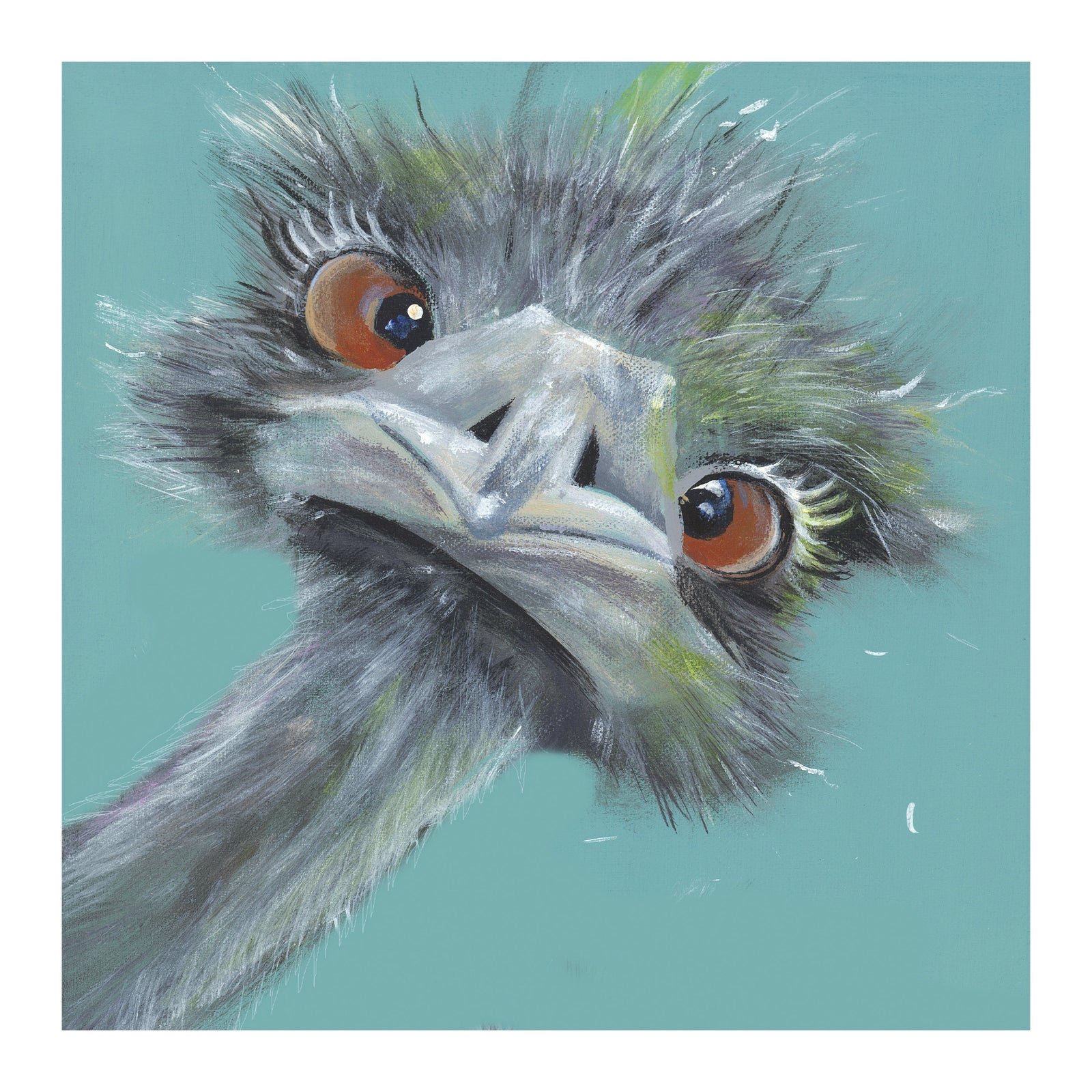 Pankhurst Emu Ogle Card at Penny Black