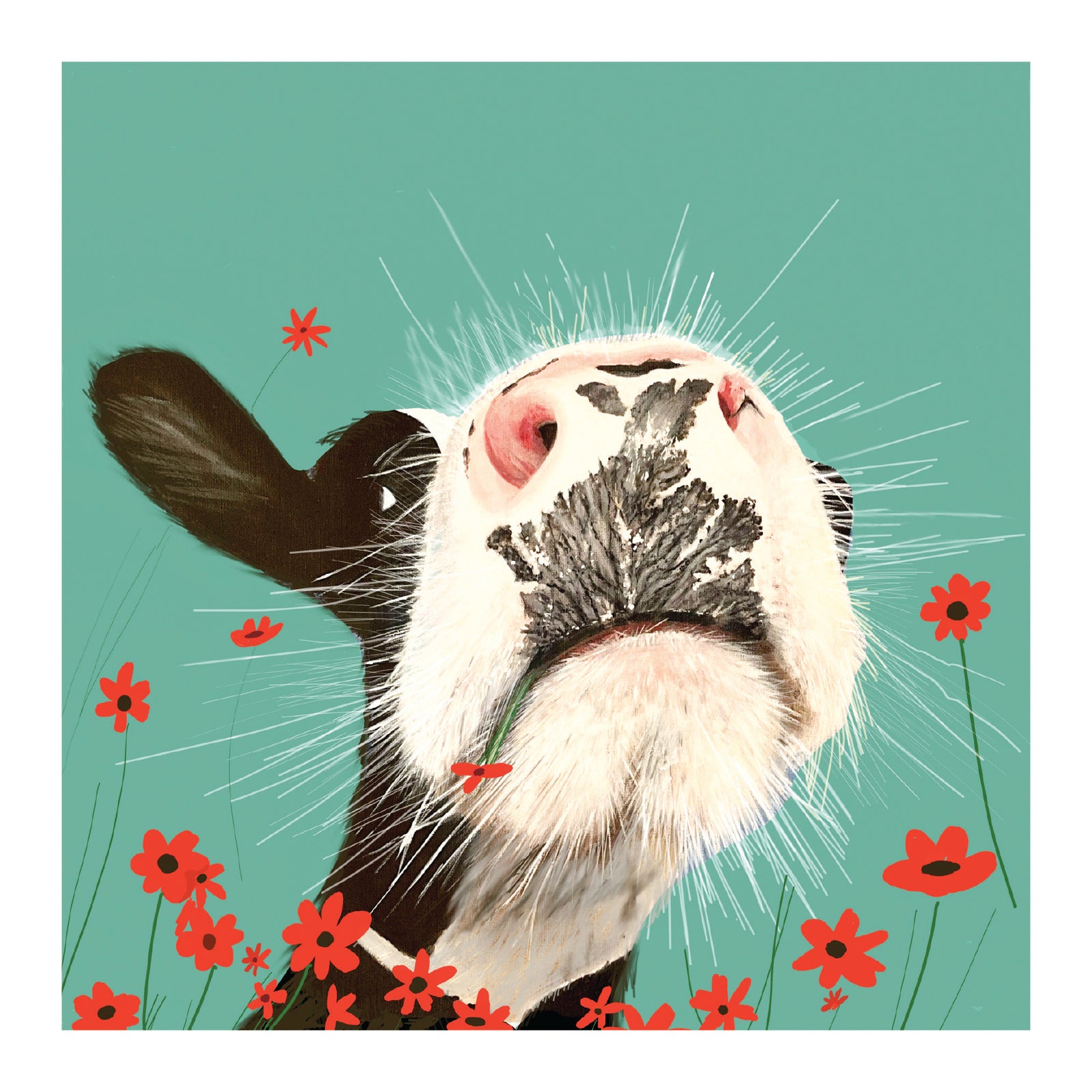 Pankhurst Friesian Cow Card at Penny Black