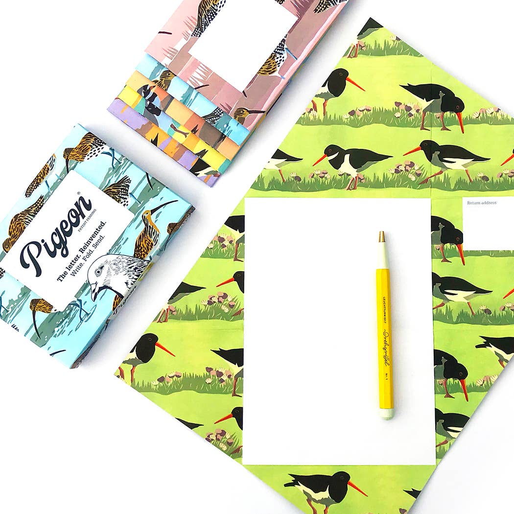 Hebridean Birds Pigeon Folding Letter Set by penny black - showing an unfolded letter