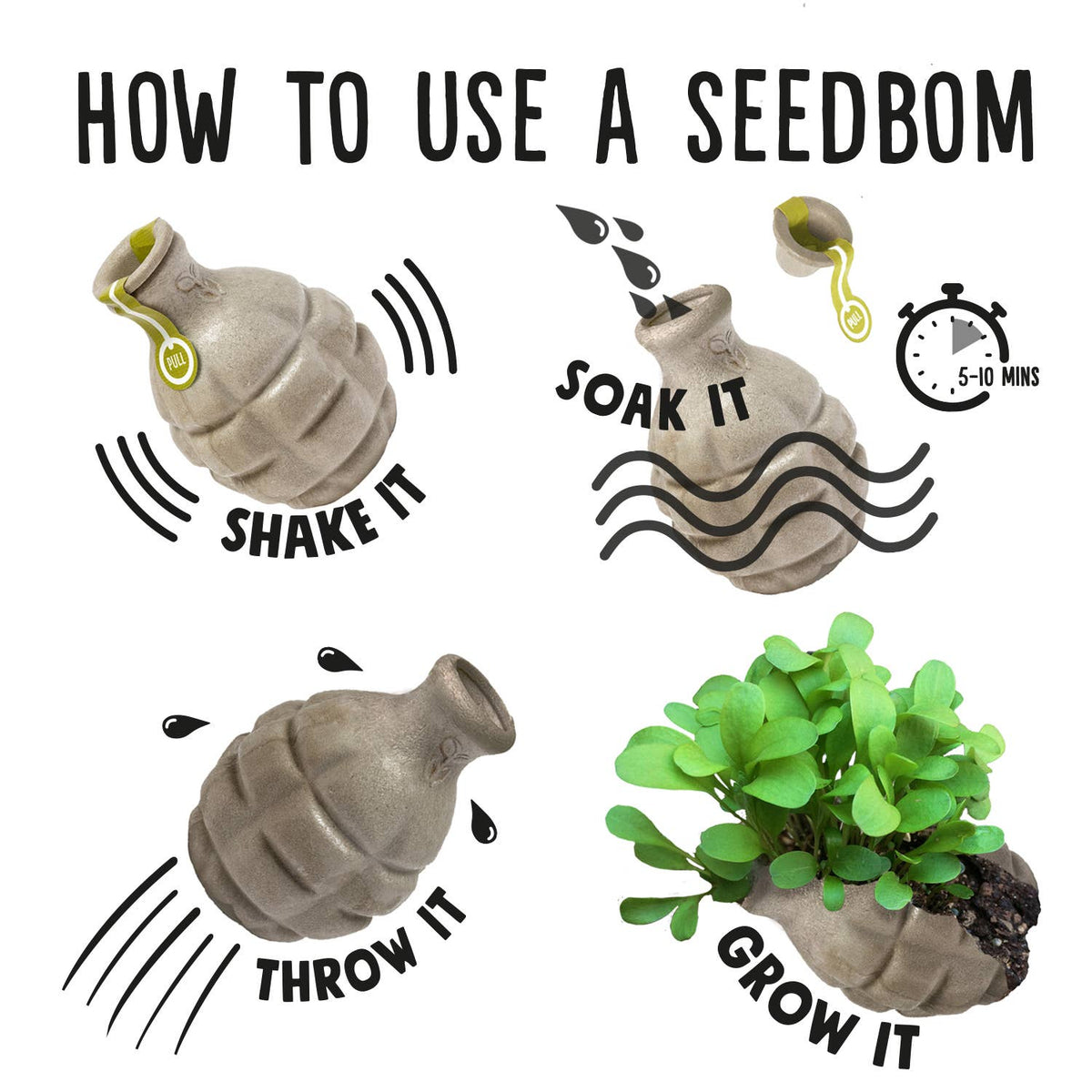 Pollinator Beebom - Bee Wildflower Kit showing instructions by penny black