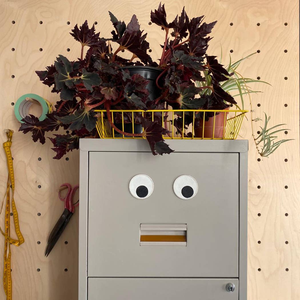 Giant Eyeball Magnets 2pk stuck to a filing cabinet