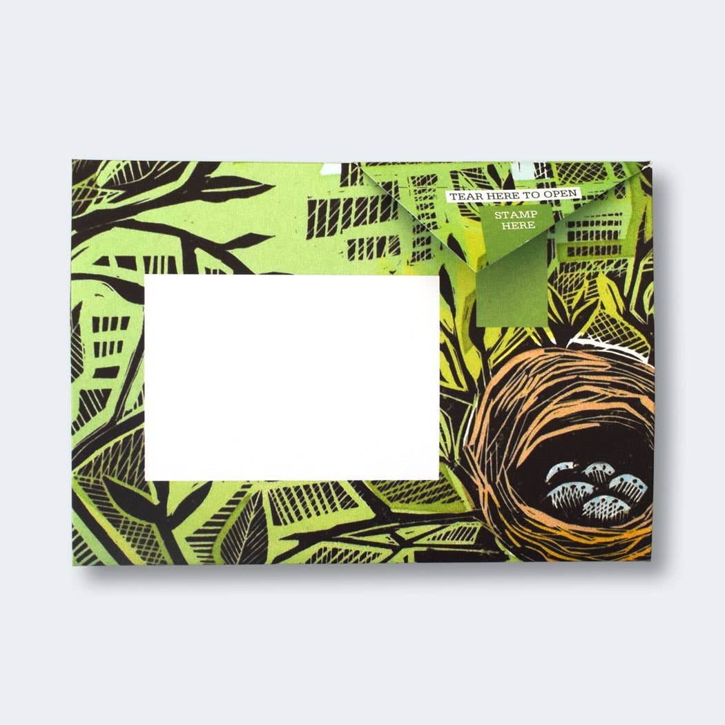 Rewilding Pigeon Folding Letter Set by penny black - showing a folded letter with artwork showing a birds nest in a tree