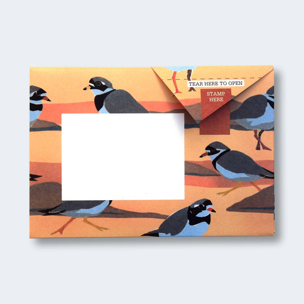 Hebridean Birds Pigeon Folding Letter Set by penny black - showing an orange folded letter featuring a ringed plover seabird.