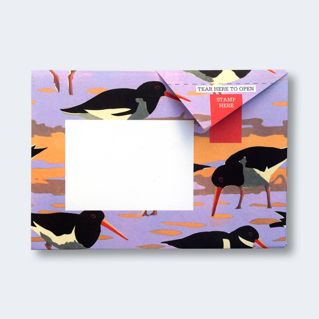 Hebridean Birds Pigeon Folding Letter Set by penny black - showing a lilac and peach folded letter featuring an oystercatcher bird.