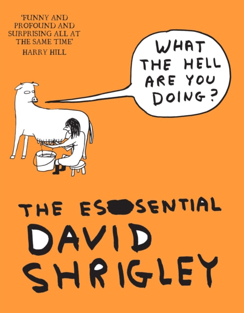 What The Hell Are You Doing?: The Essential David Shrigley Art Book