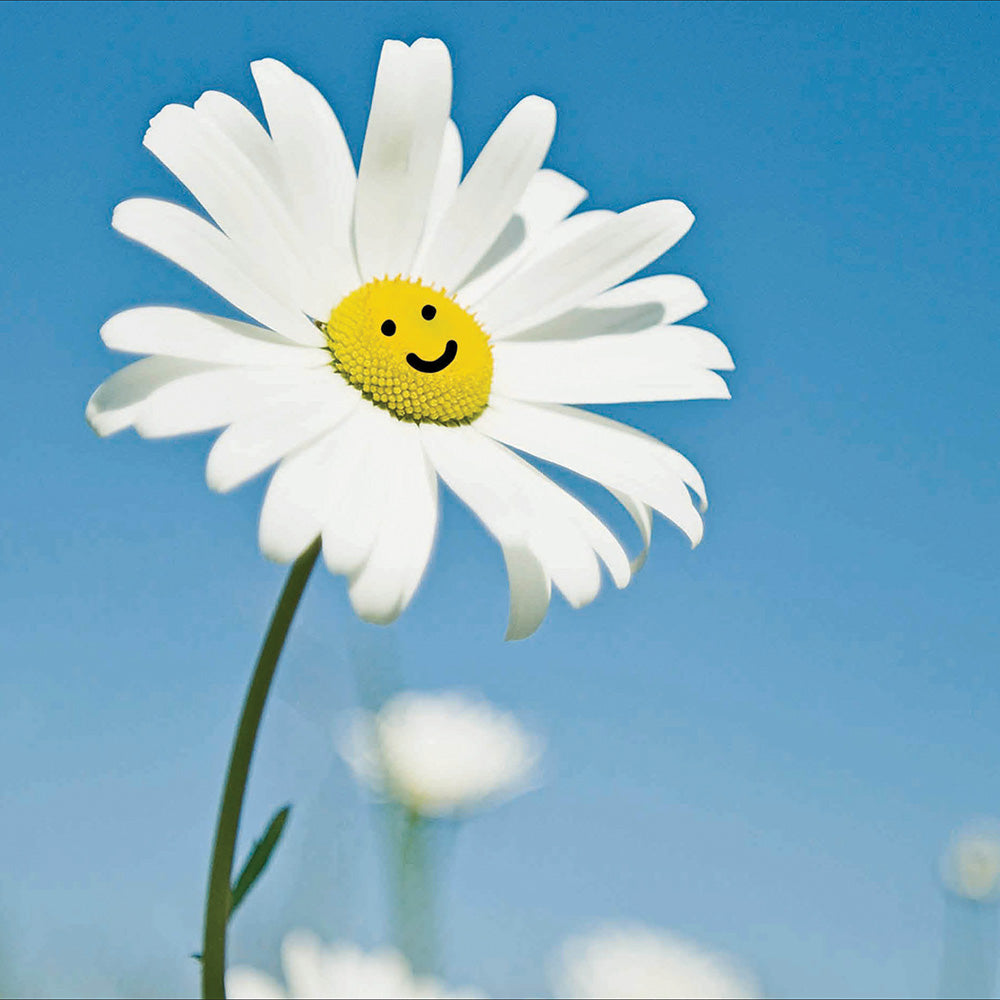 Happy Daisy Photographic Card from Penny Black