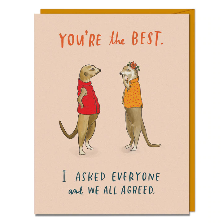 Em &amp; Friends Ready for Anything Card Box 8pk