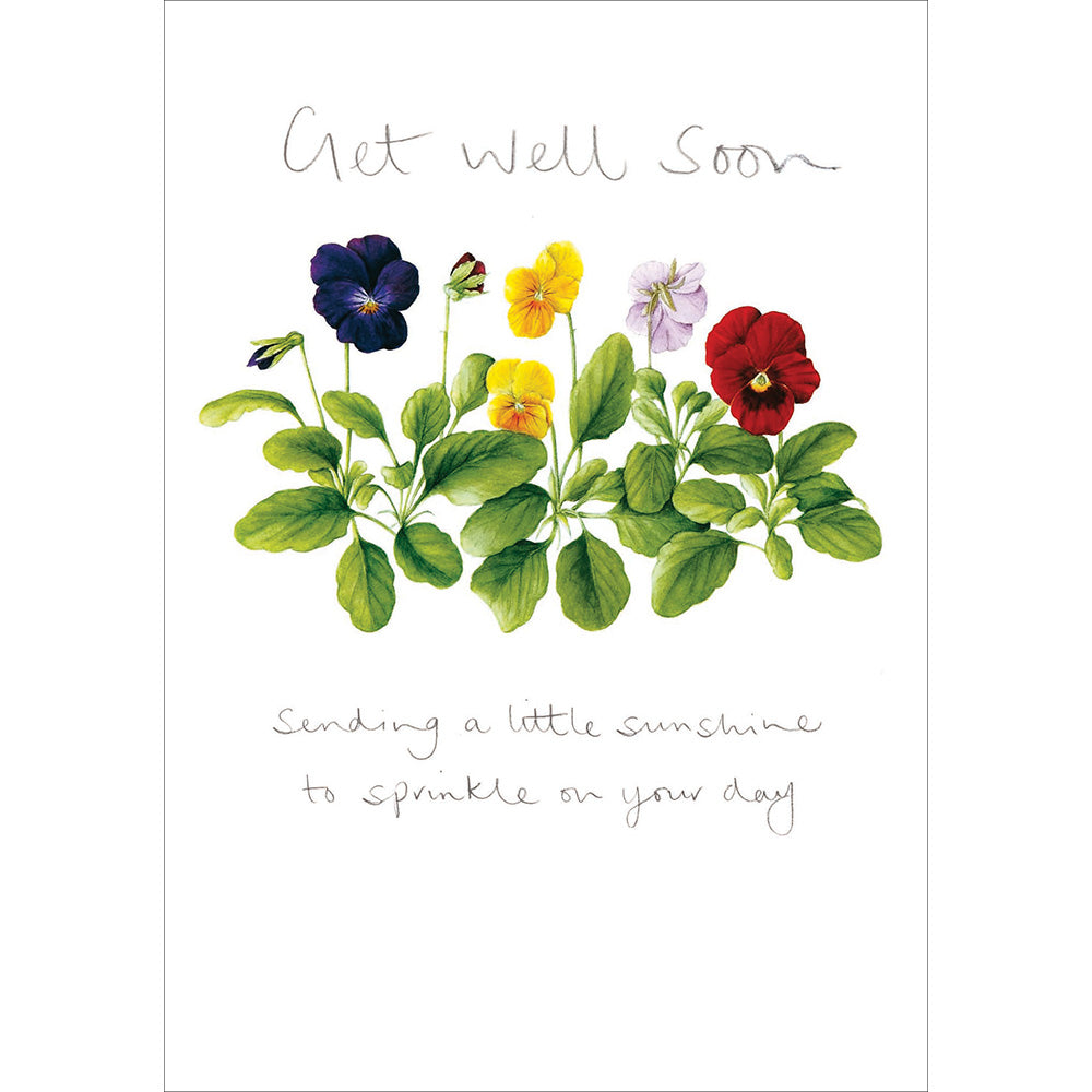 Colourful Pansies Get Well Soon Card - Penny Black