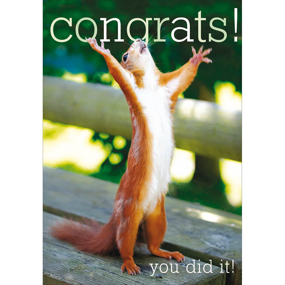 Congrats You Did It Squirrel Card - Penny Black