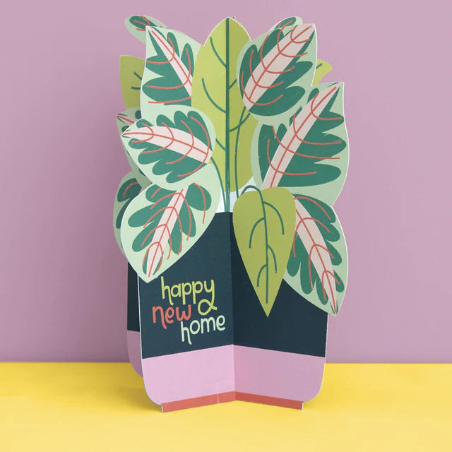 3D Fold-out House Plant New Home Card