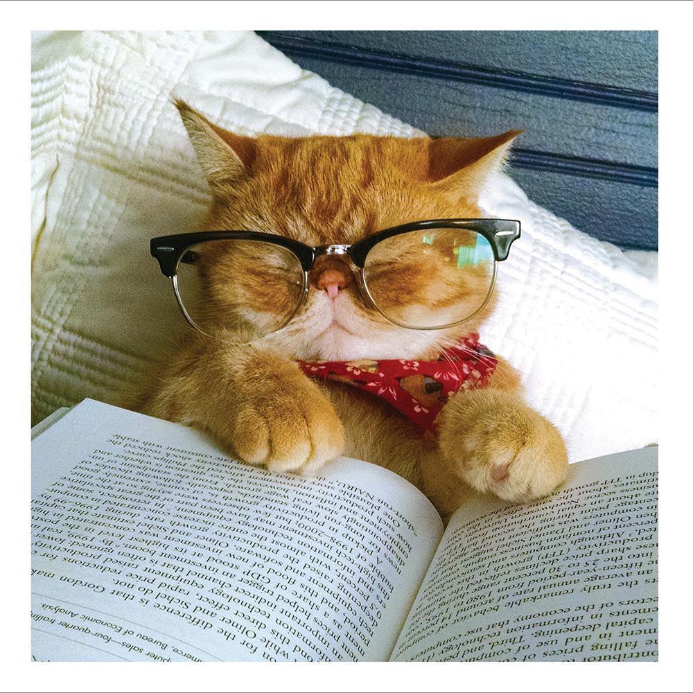 Cat Bookworm Card - Penny Black