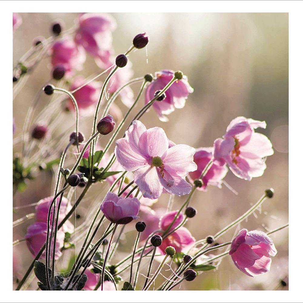 Lady Farm Somerset Floral Card - Penny Black