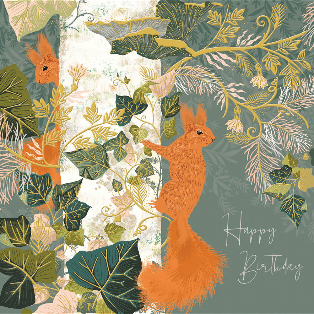 Red Squirrels National Trust Birthday Card from Penny Black