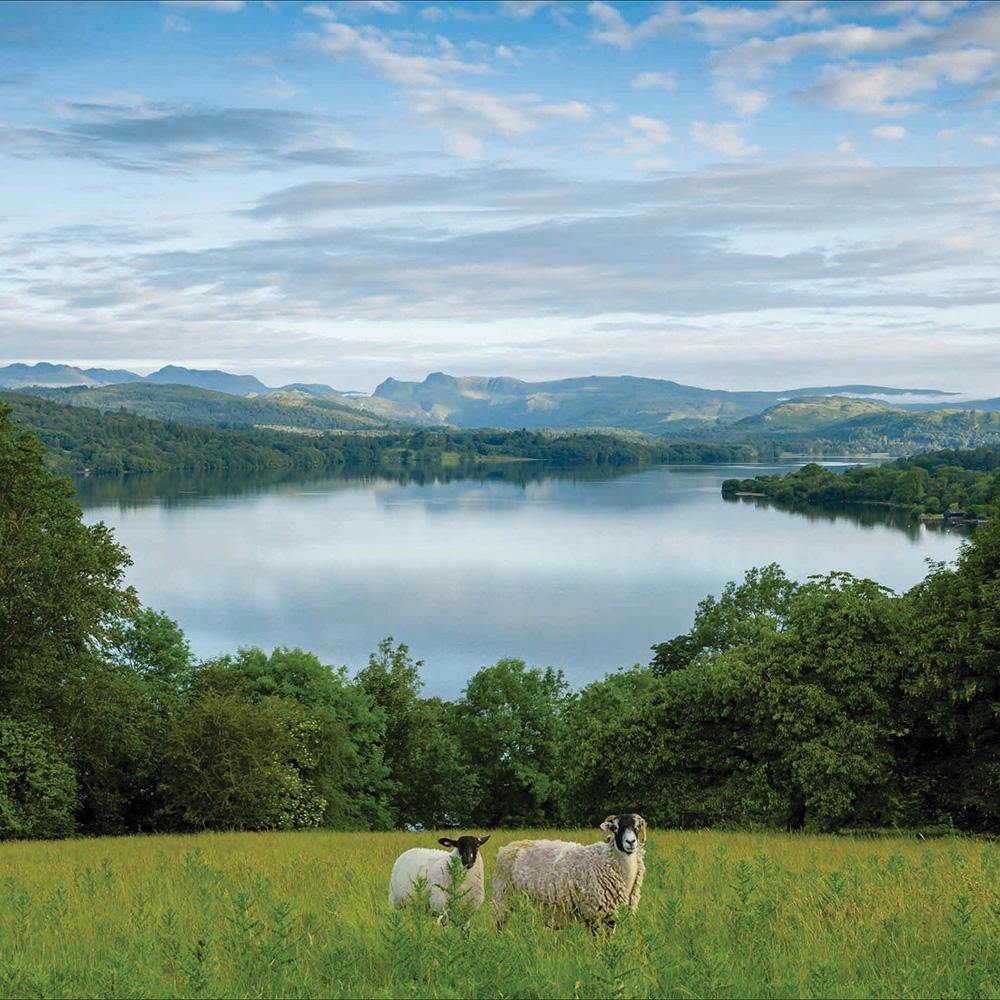 Wray Castle From Across Lake Windermere National Trust Card - Penny Black