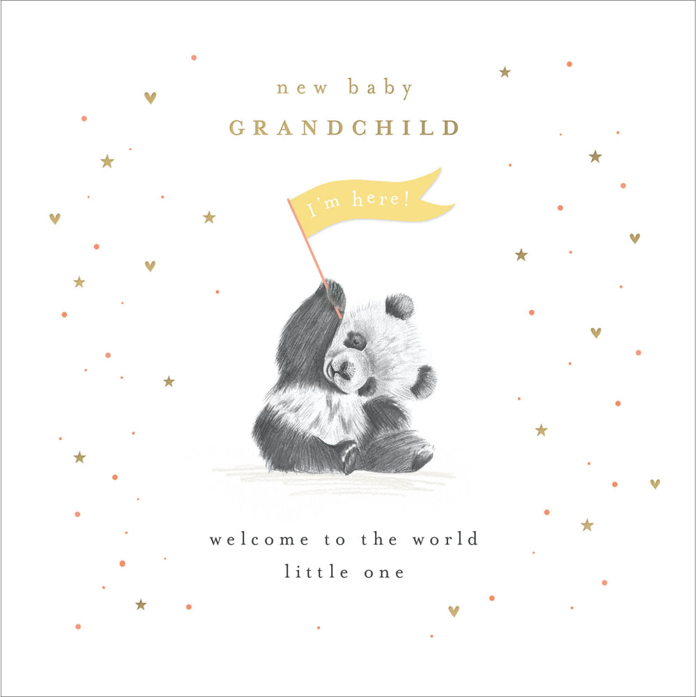 New Baby Panda Grandchild Card from Penny Black