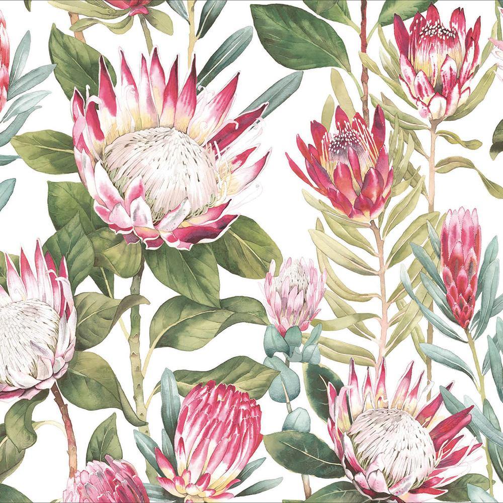 King Protea Sanderson Card - Penny Black