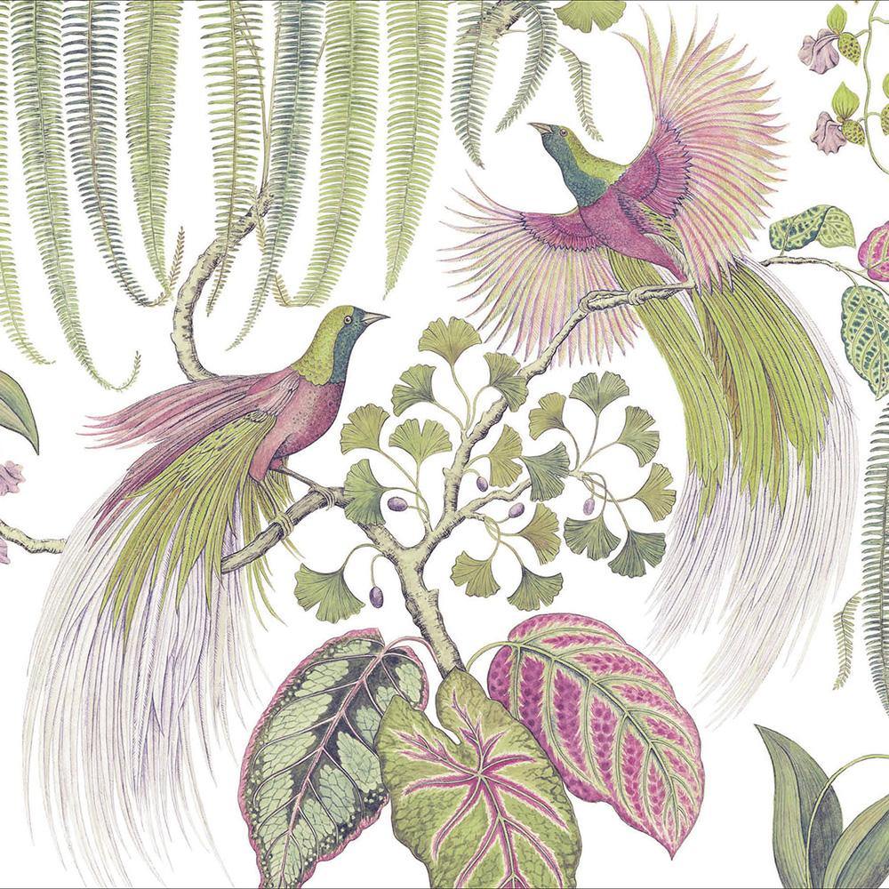 Bird of Paradise Sanderson Card - Penny Black