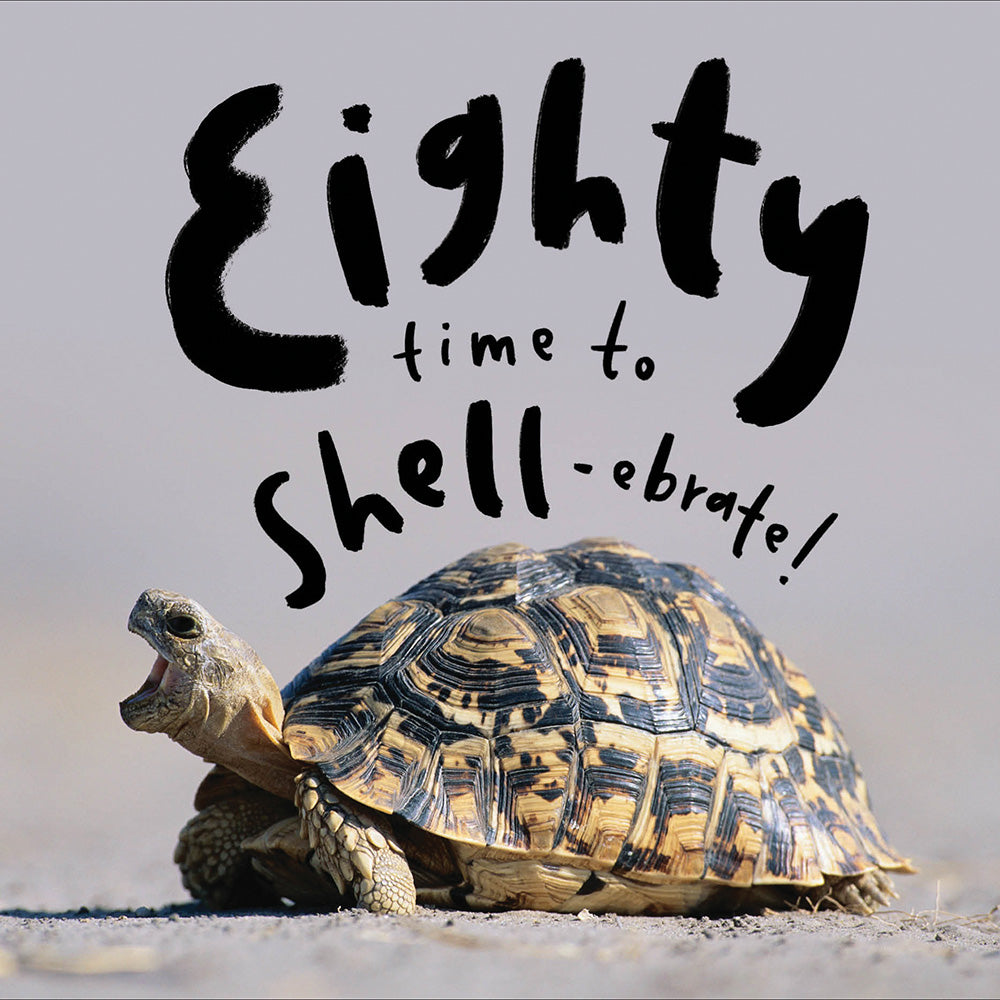 Eighty Time to Shellebrate Funny Photographic Birthday Card from Penny Black
