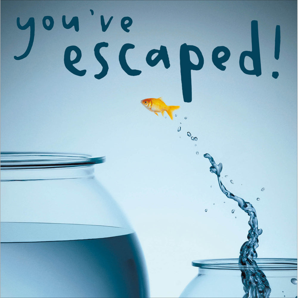 You&#39;ve Escaped Goldfish Leap Leaving Card from Penny Black
