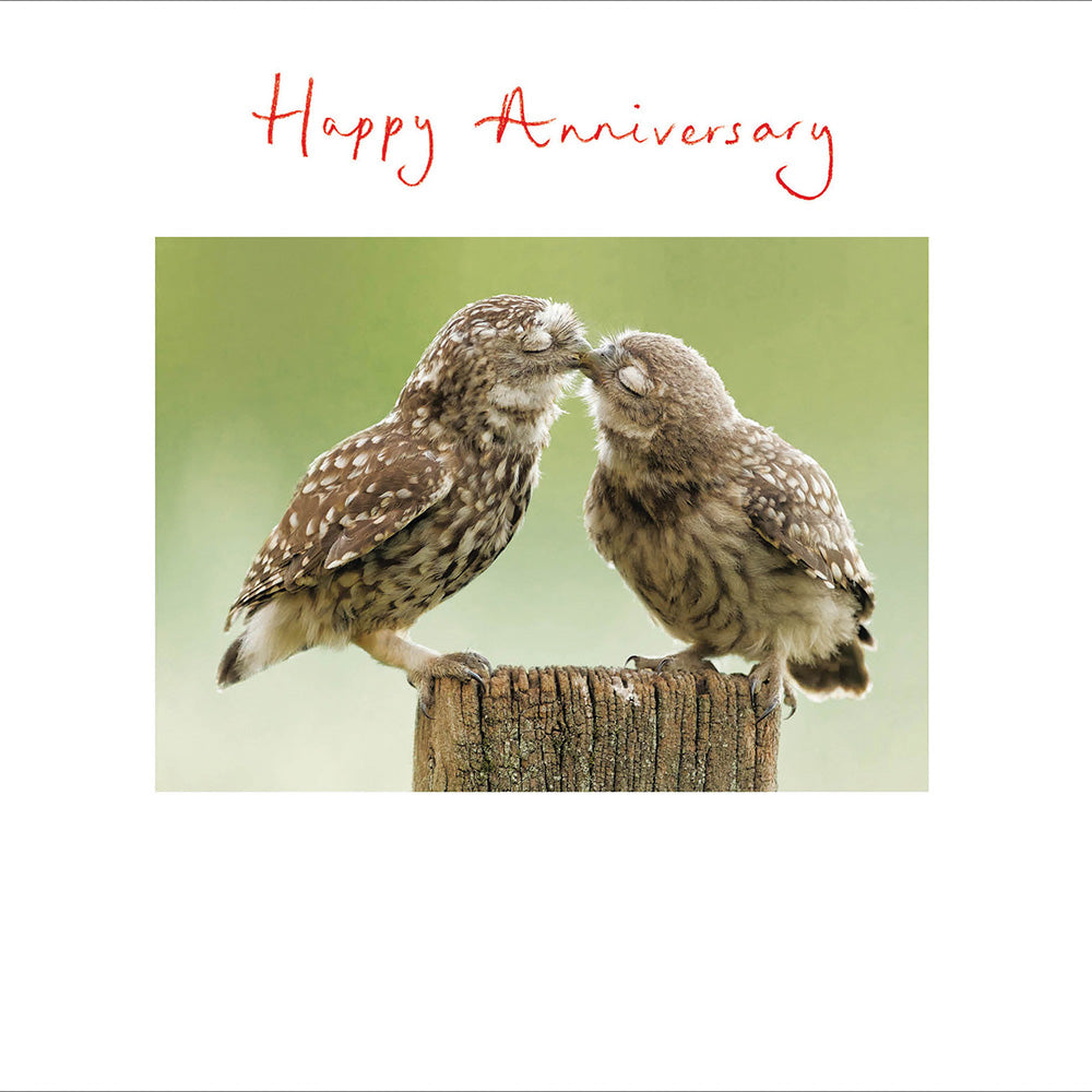 Owlways and Forever Anniversary Card from Penny Black