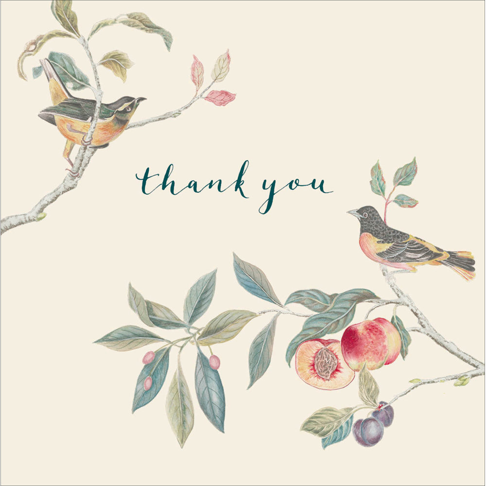 Fruit Aviary Sanderson Thank You Card from Penny Black