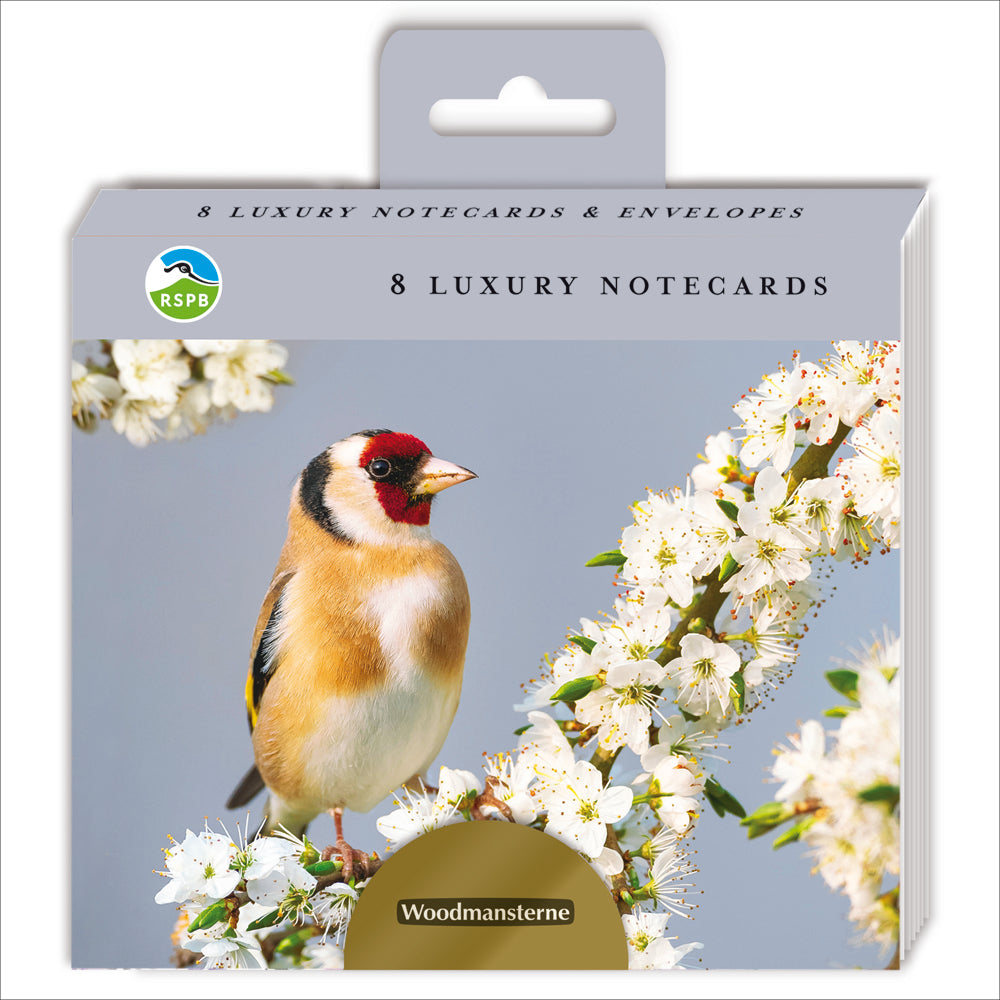 An image of a pack of 8 notecards by Woodmansterne Publishing. It shows a preview on the card design which is a Goldfinch on a branch bird which is covered in small white flowers..