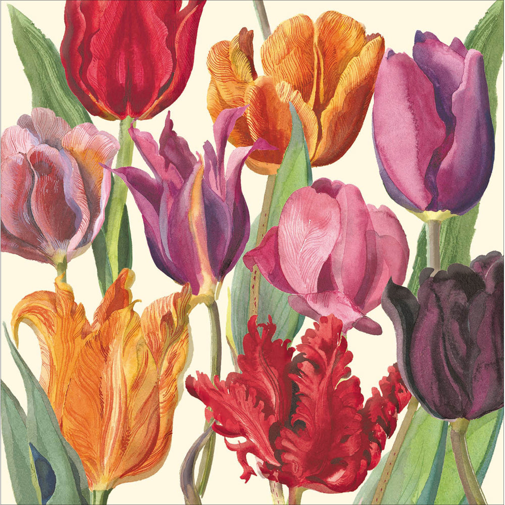 Tulips Emma Bridgewater Art Card from Penny Black