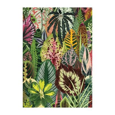 Houseplant Jungle A5 Journal from Penny Black