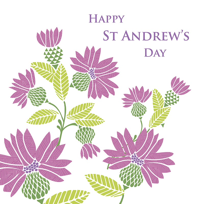 Happy St Andrews Day - Thistles Greeting Card